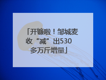 开镰啦！邹城麦收“减”出530多万斤增量